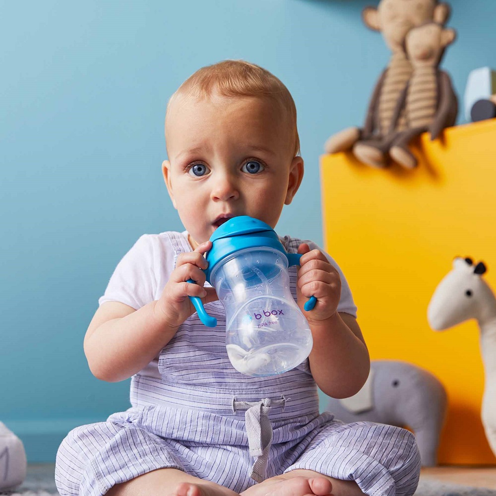 Pipmugg B.box Sippy Cup Blueberry