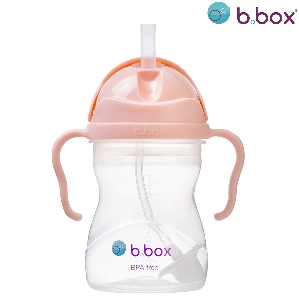 Pipmugg B.box Sippy Cup Tutti Frutti