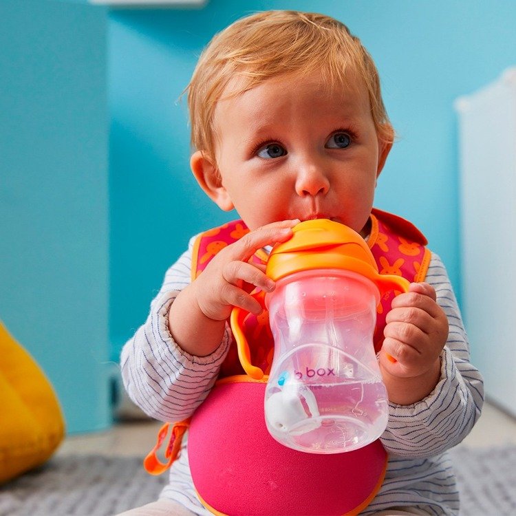 Sugrörsmugg B.box Sippy Cup Orange Zing