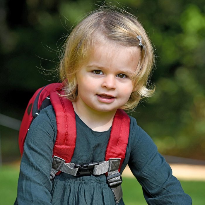 Barnryggsäck LittleLife Toddler Ladybird