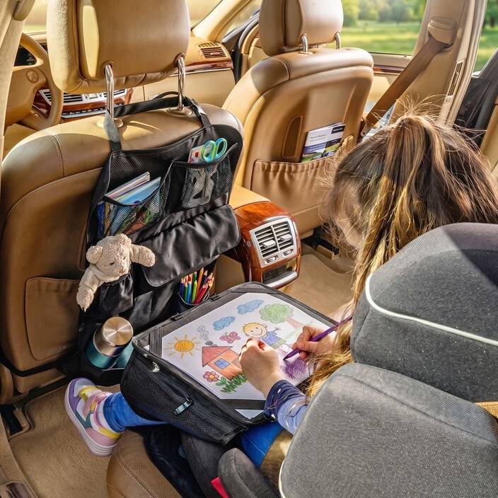 Sparkskydd med förvaring - Reer TravelKid Tidy Black
